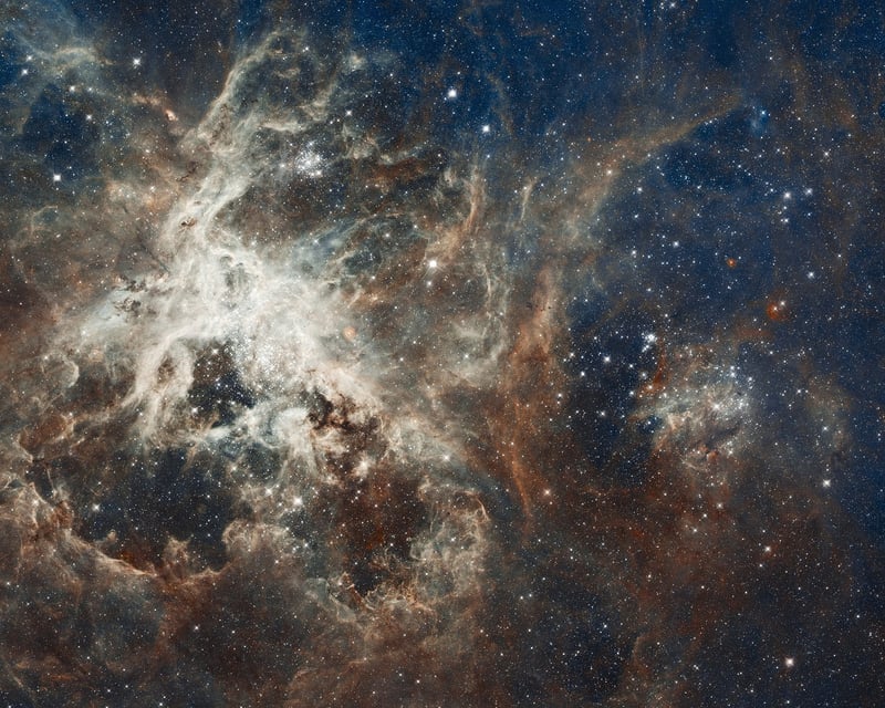 Cosmos